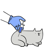 Vacunas y desparasitación HeyVet