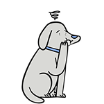 Emergencias 24 horas  | HeyVet | Lista de Espera