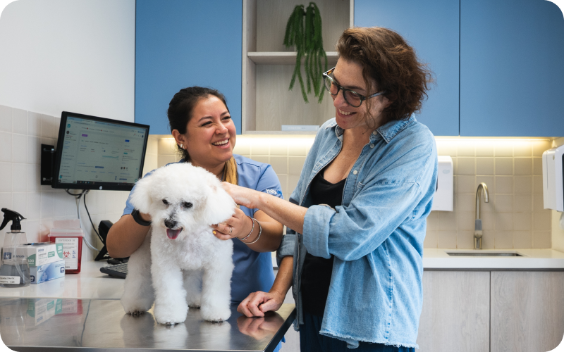 Consulta general | HeyVet
