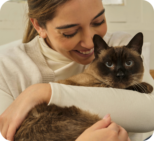 Membresía HeyVet Plus 30%OFF