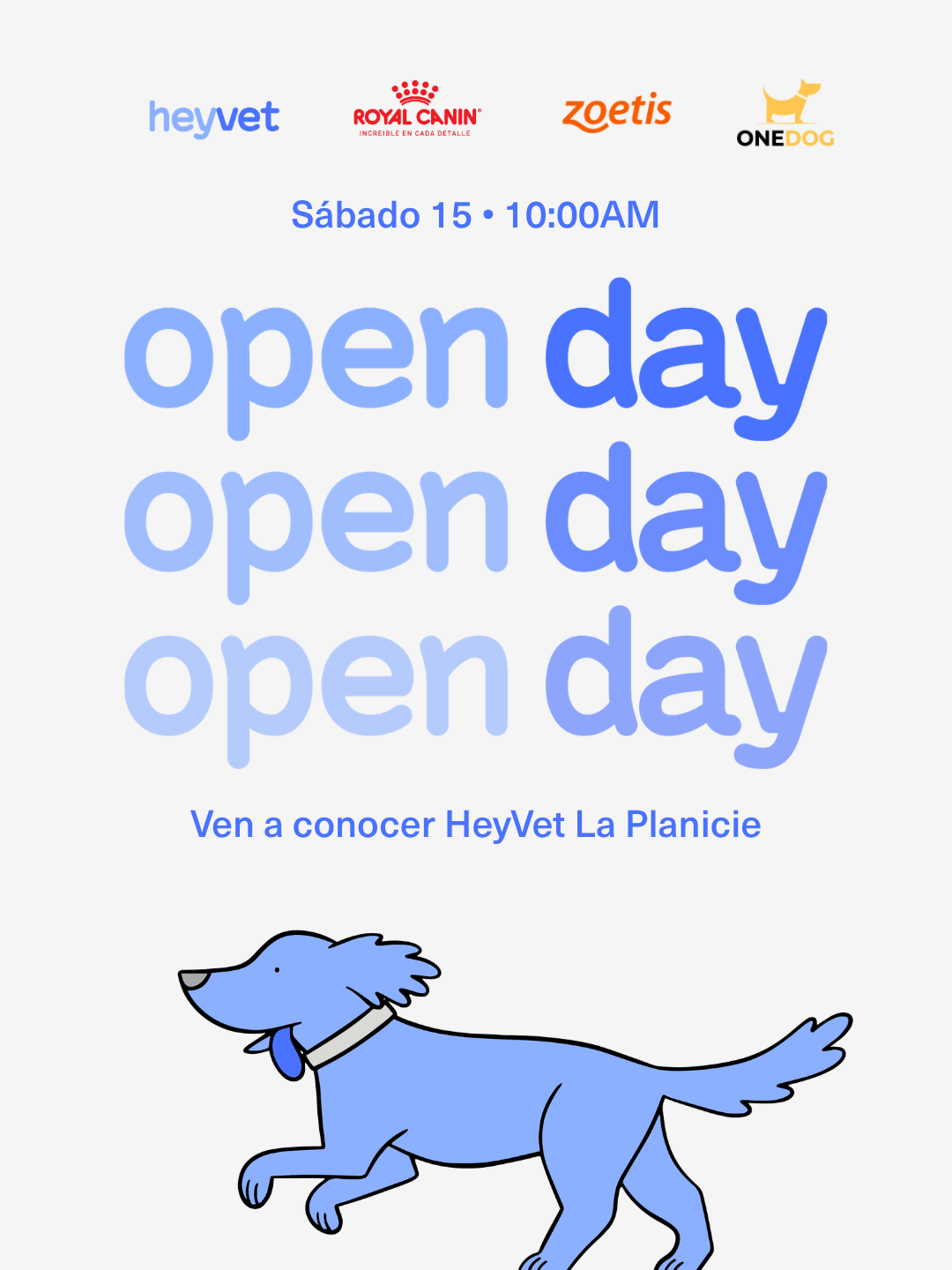 Open Day (5)